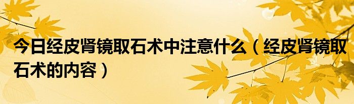 今日经皮肾镜取石术中注意什么（经皮肾镜取石术的内容）