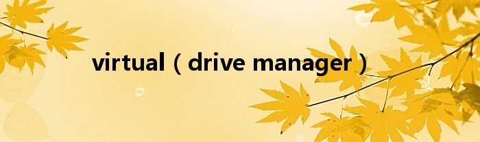 virtual（drive manager）