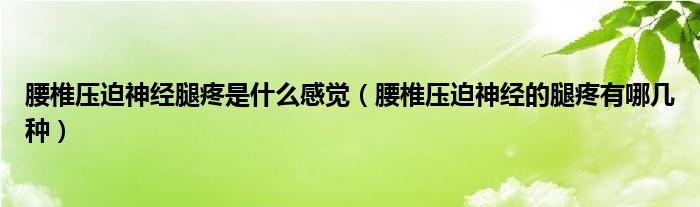 腰椎压迫神经腿疼是什么感觉（腰椎压迫神经的腿疼有哪几种）