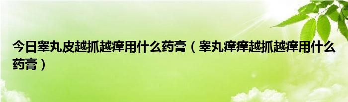 今日睾丸皮越抓越痒用什么药膏（睾丸痒痒越抓越痒用什么药膏）