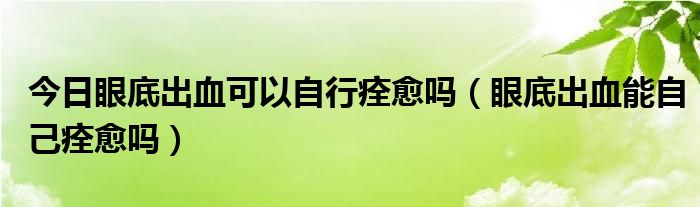 今日眼底出血可以自行痊愈吗（眼底出血能自己痊愈吗）