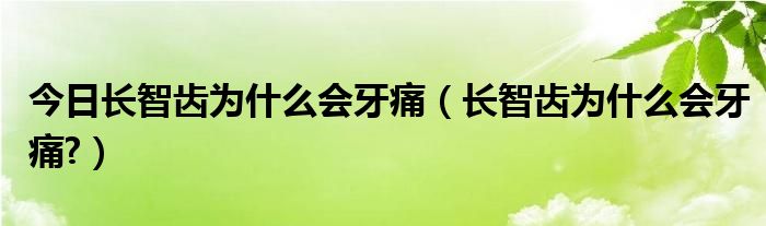 今日长智齿为什么会牙痛（长智齿为什么会牙痛?）