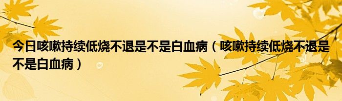 今日咳嗽持续低烧不退是不是白血病（咳嗽持续低烧不退是不是白血病）