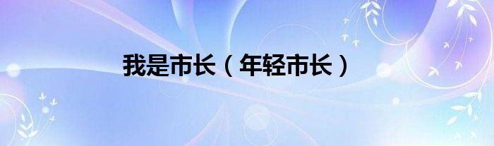 我是市长（年轻市长）