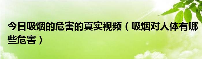 今日吸烟的危害的真实视频（吸烟对人体有哪些危害）