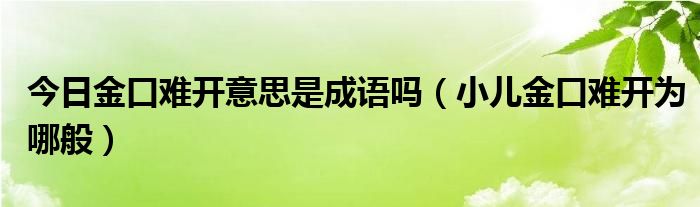 今日金口难开意思是成语吗（小儿金口难开为哪般）