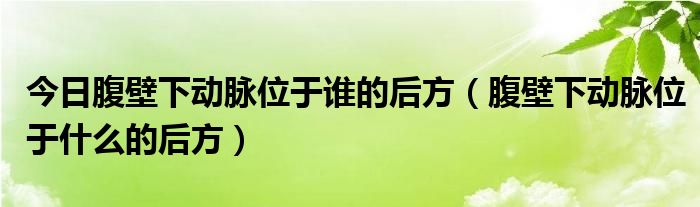 今日腹壁下动脉位于谁的后方（腹壁下动脉位于什么的后方）