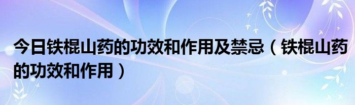 今日铁棍山药的功效和作用及禁忌（铁棍山药的功效和作用）