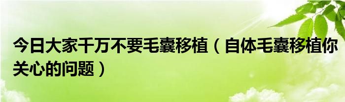 今日大家千万不要毛囊移植（自体毛囊移植你关心的问题）