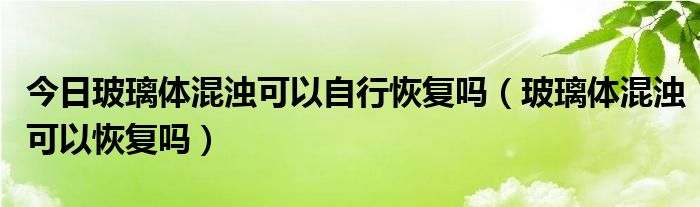 今日玻璃体混浊可以自行恢复吗（玻璃体混浊可以恢复吗）