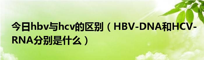 今日hbv与hcv的区别（HBV-DNA和HCV-RNA分别是什么）