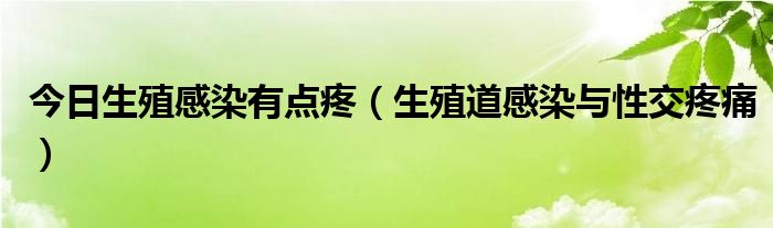 今日生殖感染有点疼（生殖道感染与性交疼痛）