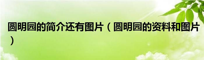 圆明园的简介还有图片（圆明园的资料和图片）