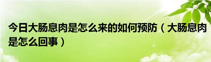 今日大肠息肉是怎么来的如何预防（大肠息肉是怎么回事）