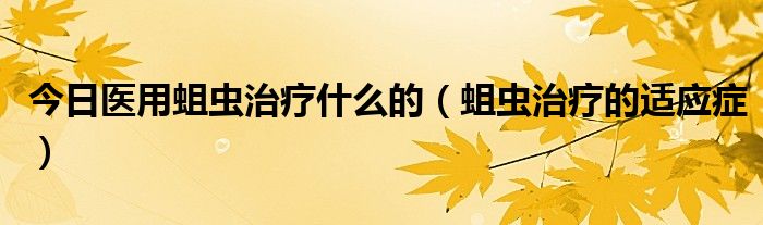 今日医用蛆虫治疗什么的（蛆虫治疗的适应症）