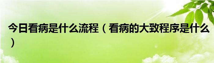 今日看病是什么流程（看病的大致程序是什么）