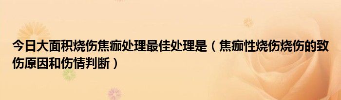 今日大面积烧伤焦痂处理最佳处理是（焦痂性烧伤烧伤的致伤原因和伤情判断）