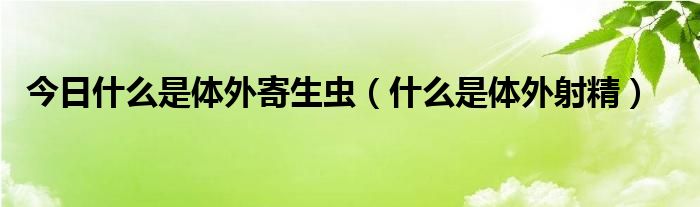 今日什么是体外寄生虫（什么是体外射精）