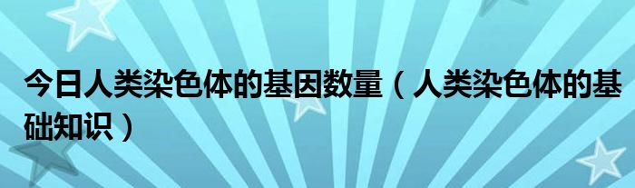 今日人类染色体的基因数量（人类染色体的基础知识）