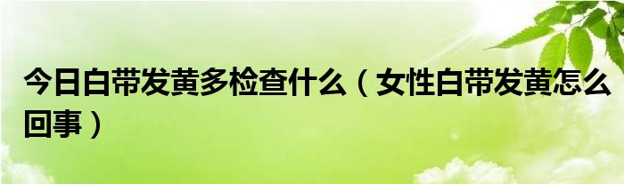 今日白带发黄多检查什么（女性白带发黄怎么回事）