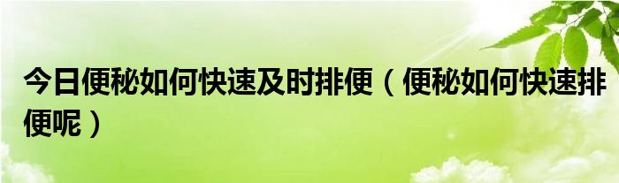 今日便秘如何快速及时排便（便秘如何快速排便呢）