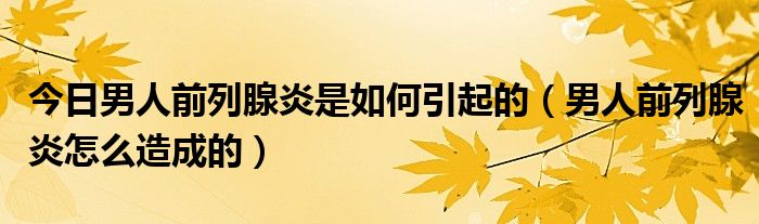 今日男人前列腺炎是如何引起的（男人前列腺炎怎么造成的）