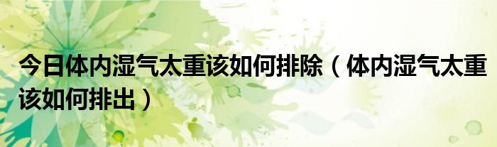 今日体内湿气太重该如何排除（体内湿气太重该如何排出）