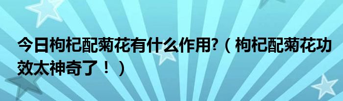 今日枸杞配菊花有什么作用?（枸杞配菊花功效太神奇了！）