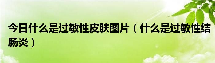 今日什么是过敏性皮肤图片（什么是过敏性结肠炎）