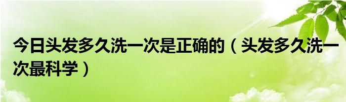 今日头发多久洗一次是正确的（头发多久洗一次最科学）