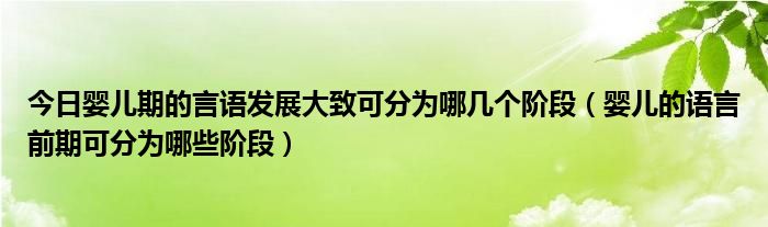 今日婴儿期的言语发展大致可分为哪几个阶段（婴儿的语言前期可分为哪些阶段）