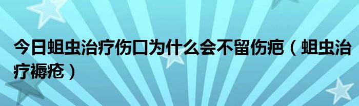 今日蛆虫治疗伤口为什么会不留伤疤（蛆虫治疗褥疮）