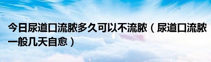 今日尿道口流脓多久可以不流脓（尿道口流脓一般几天自愈）