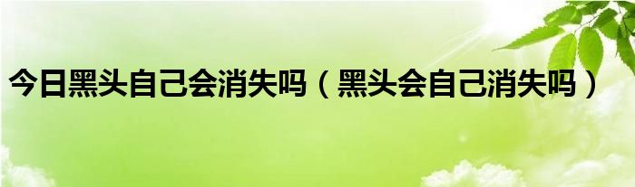 今日黑头自己会消失吗（黑头会自己消失吗）