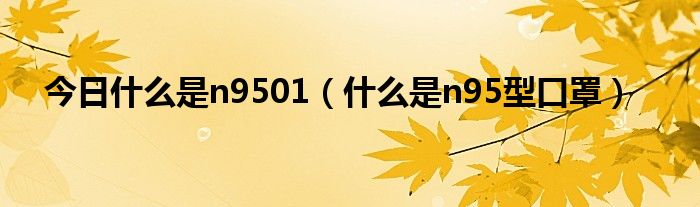 今日什么是n9501（什么是n95型口罩）