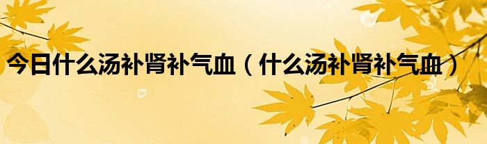 今日什么汤补肾补气血（什么汤补肾补气血）