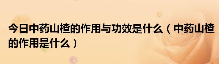 今日中药山楂的作用与功效是什么（中药山楂的作用是什么）