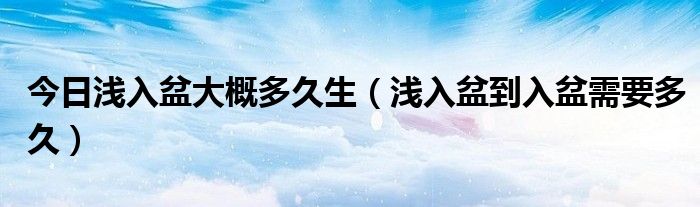 今日浅入盆大概多久生（浅入盆到入盆需要多久）