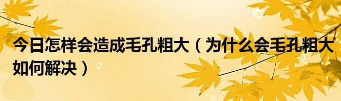 今日怎样会造成毛孔粗大（为什么会毛孔粗大如何解决）