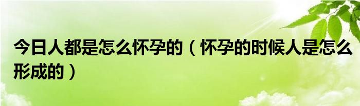 今日人都是怎么怀孕的（怀孕的时候人是怎么形成的）