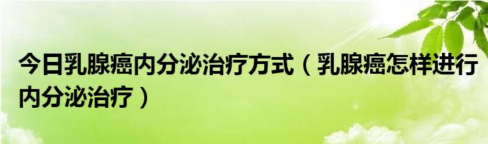 今日乳腺癌内分泌治疗方式（乳腺癌怎样进行内分泌治疗）