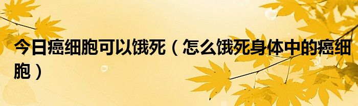 今日癌细胞可以饿死（怎么饿死身体中的癌细胞）