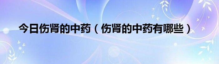 今日伤肾的中药（伤肾的中药有哪些）