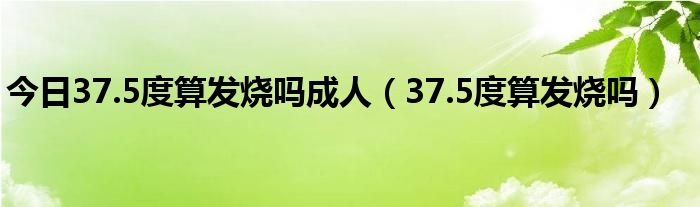 今日37.5度算发烧吗成人（37.5度算发烧吗）