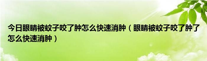 今日眼睛被蚊子咬了肿怎么快速消肿（眼睛被蚊子咬了肿了怎么快速消肿）