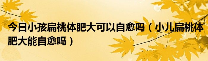 今日小孩扁桃体肥大可以自愈吗（小儿扁桃体肥大能自愈吗）