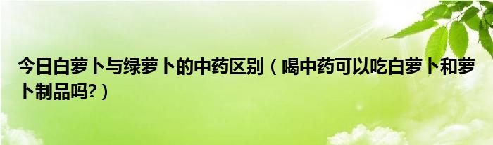 今日白萝卜与绿萝卜的中药区别（喝中药可以吃白萝卜和萝卜制品吗?）