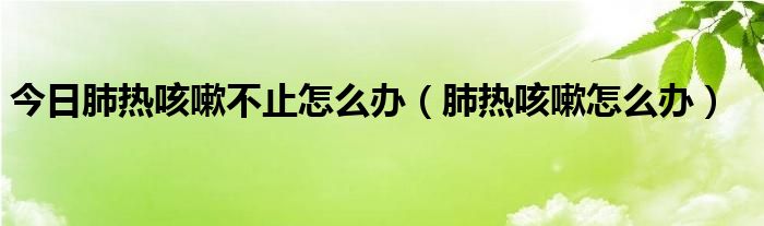 今日肺热咳嗽不止怎么办（肺热咳嗽怎么办）