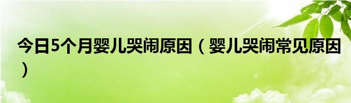 今日5个月婴儿哭闹原因（婴儿哭闹常见原因）