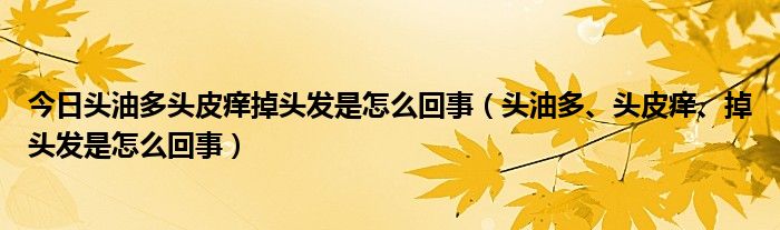 今日头油多头皮痒掉头发是怎么回事（头油多、头皮痒、掉头发是怎么回事）